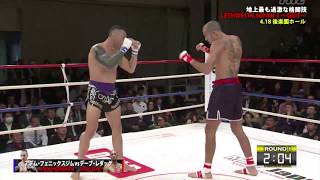 Dave Leduc Vs Adem Yilmaz  Tokyo Japan 🇯🇵 Highlight 1842017 [upl. by Ranice369]