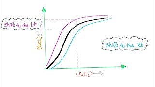 Oxygen Hemoglobin Dissociation Curve with a mnemonic [upl. by Nilloc]