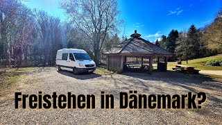 FreistehenWildcampen in Dänemark  geht das [upl. by Tellford]