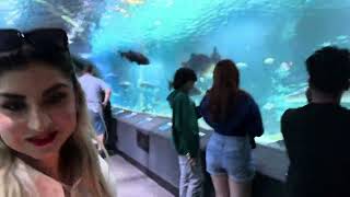 🇺🇸Newport Aquarium Cincinnati May 2024 visit [upl. by Arytahs]