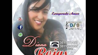 DIANA ROJAS EXAGERADO AMOR [upl. by Aninnaig578]