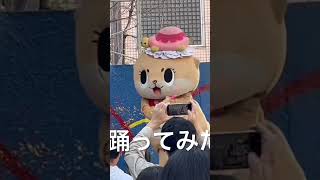 Arataka Rinka with Chiitan☆Check out Chiitan☆s lively dance to Arataka Rinka new song quotNever Mindquot [upl. by Ytsud444]