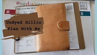 Gillio Undyed Medium Compagna  Weekly Plan With Me  Miranda Plans [upl. by Greeley]