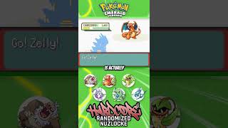 THE FINAL GYM CHALLENGE  Pokémon Emerald Hardcore Randomized Nuzlocke pokemon nuzlocke [upl. by Atteuqal]