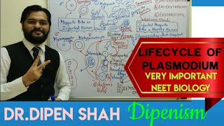 MALARIA and LIFECYCLE OF PLASMODIUM  HEALTH amp DISEASE Class 12 CBSE  Dipenism Biology NEET [upl. by Er264]