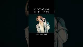 🕘毎日21時投稿中🕘 ELLEGARDEN「ジターバグ」 ellegarden エルレガーデン 歌ってみた 歌ってみた動画 歌い手 [upl. by Aliehc]