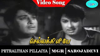 Petralthan Pillaiya movie song  Chellakkiliye Video Song  M G R  B Saroja Devi [upl. by Locin]