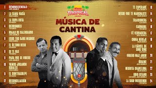 Lo Mejor De La Música Popular Música De Cantina [upl. by Brian]