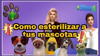 Como esterilizar 💉 a tus mascotas 🐄🐔 en Los Sims 4  Tutorial [upl. by Corin]