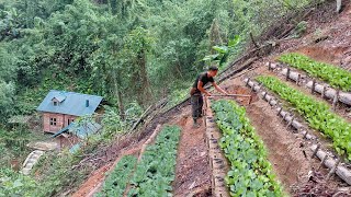 Build a terraced garden on a steep mountainside Grow pumpkins soybeans and radishes [upl. by Murdocca]