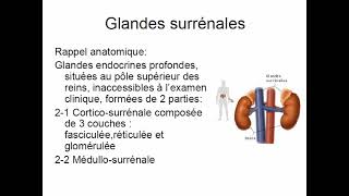 Sémiologie de la surrénale et du diabéte [upl. by Elsi]