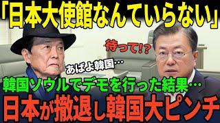 【海外の反応】「大使館なんて建てるな！」日本を追い出そうと韓国デモ勃発後…韓国の状態に世界が驚愕 [upl. by Haelahk866]