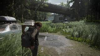 The Last of Us Part II  The Forest  No Motion Blur PS4 Pro4K [upl. by Chui]