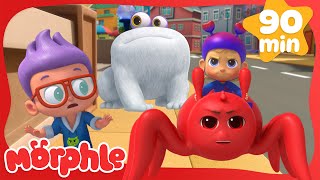 Spider Morphle Catches the Gobble Frog 🐸🕷️  Cartoons for Kids  Mila and Morphle [upl. by Ann718]