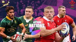 SPRINGBOKS vs WALES PREVIEW AND WEEKEND PREDICTIONS [upl. by Intruok265]