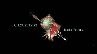 Circa Survive  Dark Pools Visual [upl. by Glori]