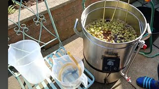 Grainfather G40 brewday 🍺🍺 Part one [upl. by Akyre]