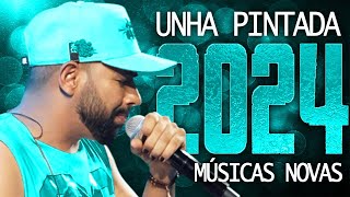 UNHA PINTADA 2024  20 MÚSICA NOVAS  CD NOVO  REPERTÓRIO ATUALIZADO [upl. by Annahoj]