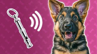 Dog Whistle Sound  Ultrasonic Sound for Dogs [upl. by Dreher846]