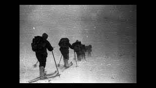 THE DYATLOV PASS MURDERS [upl. by Nagaem]