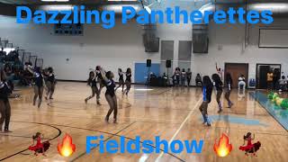 Dazzling Pantherettes GCP Fieldshow JSettes [upl. by Funch529]