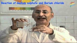 Reaction of Sodium sulphate and Barium chloride [upl. by Culley]