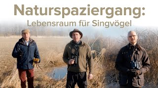 Gut Hardegg  Naturspaziergang – Lebensraum für Singvögel [upl. by Malanie]