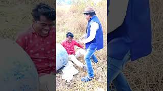 PAEN TIKE  SHYAMLAL amp JAMIDAR SHYAMLAL COMEDY SHOW  SHORT VIDEO [upl. by Yeniffit818]