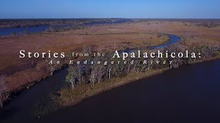 Stories from the Apalachicola An Endangered River [upl. by Isolt]