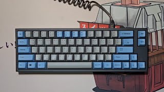 레오폴드 토프레 무접점 키보드  Leopold FC660C silent grayblueTopre silent [upl. by Peacock11]