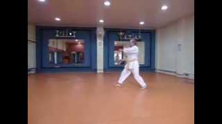 KIHON WADO KAI FERNANDO DOJO JAU [upl. by Aciretehs]