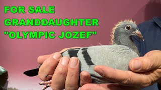 SUPER Week Offer With Granddaughter Olympic Jozef [upl. by Binette]