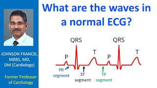 What are the waves in a normal ECG [upl. by Nebe]