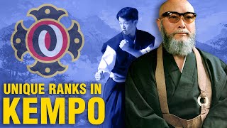 What is Shorinji Kempo [upl. by Elyrad]