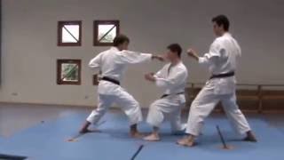 HEIAN SHODAN  BUNKAI AVANÇADO [upl. by Aramad626]