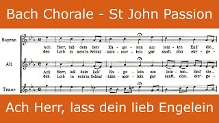 Bach  St John Passion  Ach Herr lass dein lieb Engelein chorale [upl. by Riba]