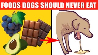 Dangerous Foods Your Dog Should Never Eat [upl. by Nwotna]