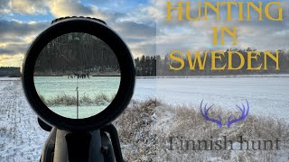 Hunting in Sweden 2023  Finnish Hunt [upl. by Banyaz]