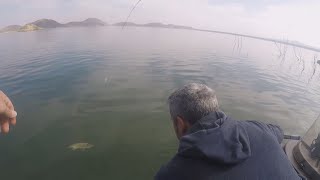 St Croix Legend Elite Panfish rod can handle Big Bass Ultralight rig at Diamond Valley Reservoir [upl. by Bodkin]