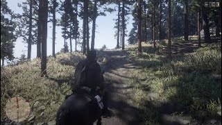 RDR2 COLLECTORS GLITCH [upl. by Eryt839]