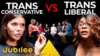 Trans Conservatives vs Trans Liberals  Middle Ground [upl. by Crosse679]