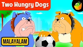 അത്യാഗ്രഹികളായ നായ്ക്കൾ Two Hungry Dogs  Aesops Fables  Magicbox Malayalam [upl. by Victoir]