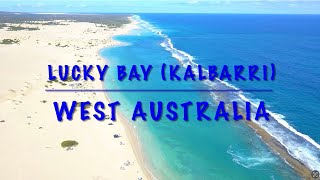 LUCKY BAY BEACH KALBARRI 🇦🇺 WEST AUSTRALIA  4X4  FISHING  CAMPING SURF KITESURF [upl. by Wardieu793]