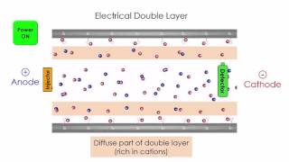 Capillary Electrophoresis [upl. by Duomham373]