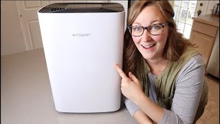 Dehumidifier Review  for Basement Wpsoert 80 Pints Dehumidifiers for Home Large Room [upl. by Sardella]