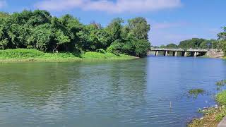 Pawana River Pune Maharashtra [upl. by Selie]