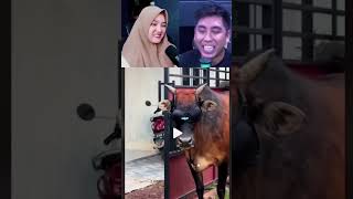 HAYO LO PLAT JAMBI SIAPA ITU❗️❗️shorts andresuhen videomeme reactionvideo lucu [upl. by Yssak]