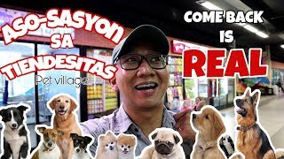 Best Pet Shop In the Philippines 🇵🇭  Tiendesitas Pet Shop 🐕  Tiendesitas Dog Shop 🐩  Dog Lover ❤ [upl. by Schluter]