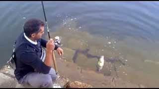 PESCANDO BASSES EN MADRID CON LOS COMPAÑEROS DE SEDIENTOS DE PESCA 1 [upl. by Sascha]