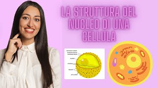 LA STRUTTURA DEL NUCLEO  CELLULA EUCARIOTE [upl. by Suoicerpal551]